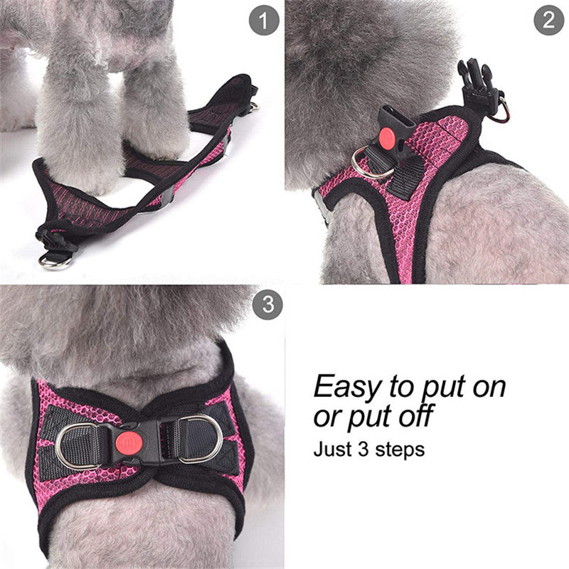Reflective Dog Leash - image 5