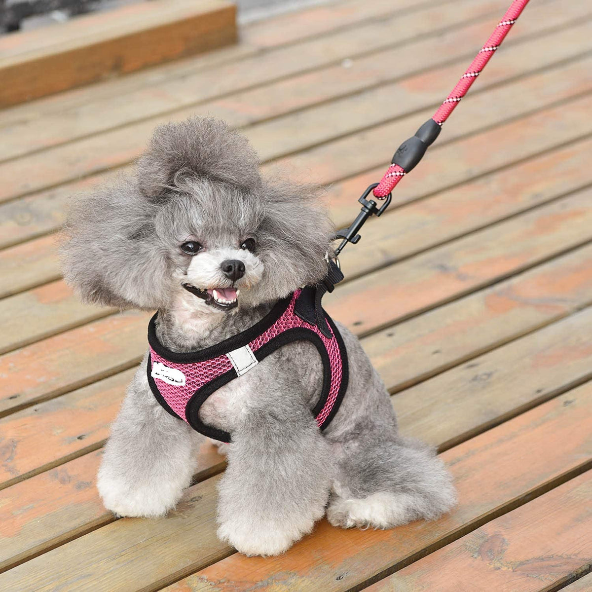 Reflective Dog Leash - image 4