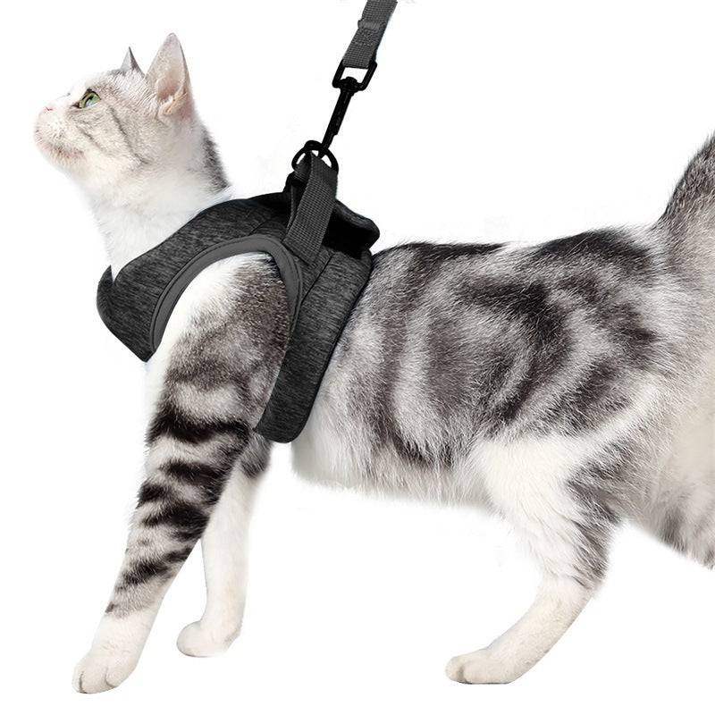 Adjustable Cat Harness & Leash Set - image 1