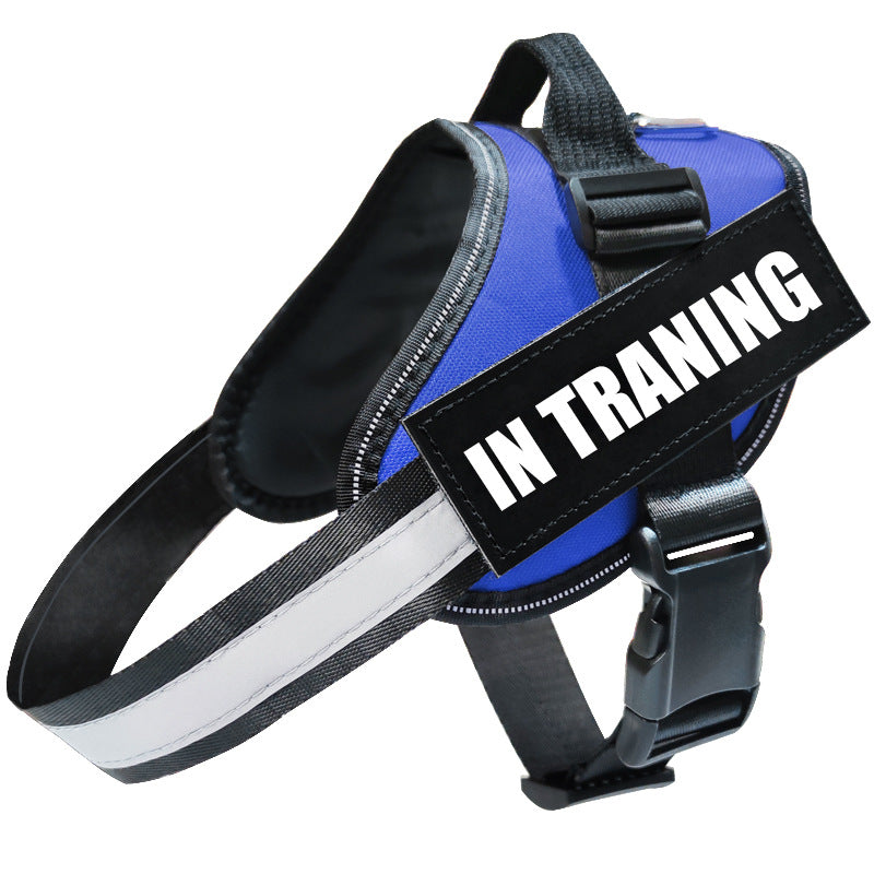 No-Pull Dog Harness with Leash Set - image 2