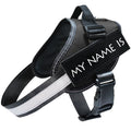 No-Pull Dog Harness with Leash Set - image 3