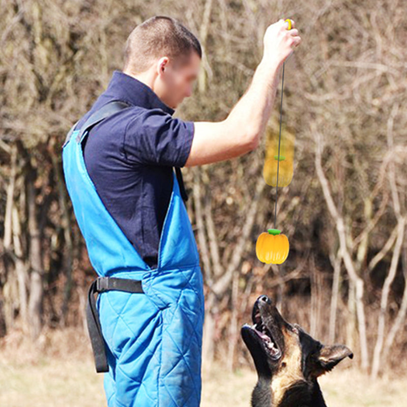 Squeaky Dog Chew Ball - image 7