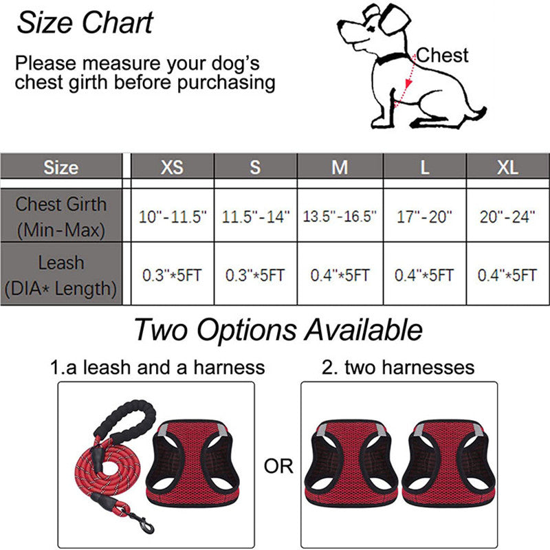 Reflective Dog Leash - image 6