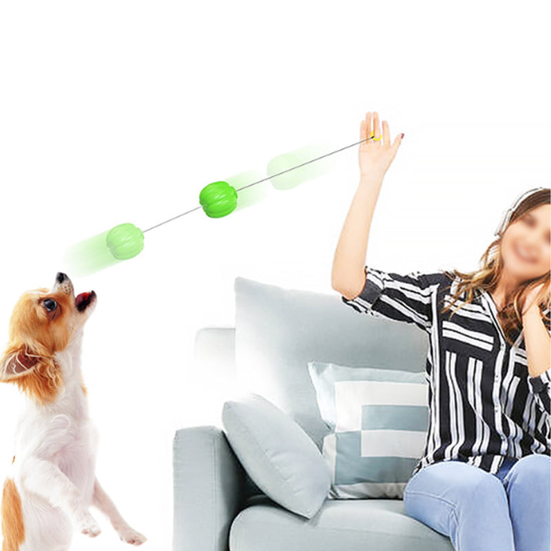 Squeaky Dog Chew Ball - image 5