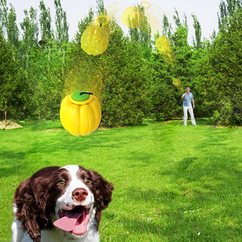 Squeaky Dog Chew Ball - image 10