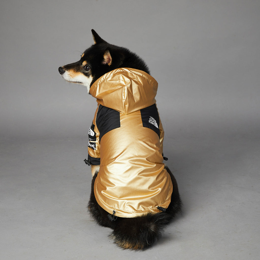 Waterproof Dog Raincoat - image 3