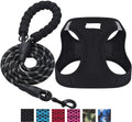 Reflective Dog Leash - image 10