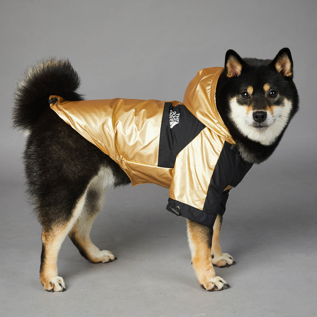 Waterproof Dog Raincoat - image 7