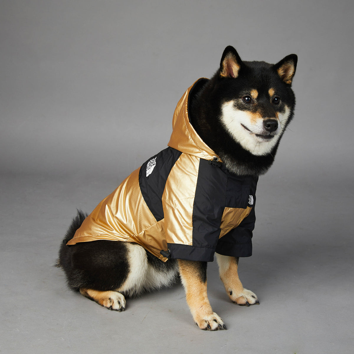Waterproof Dog Raincoat - image 9