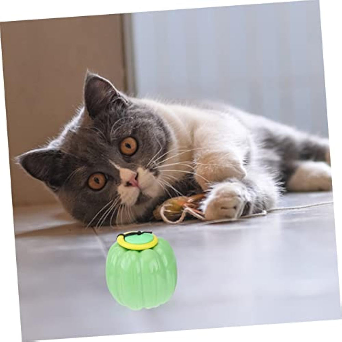 Squeaky Dog Chew Ball - image 9