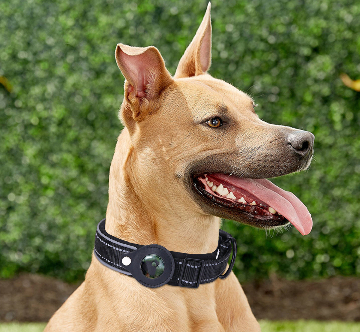 Padded Reflective Dog Collar - image 1