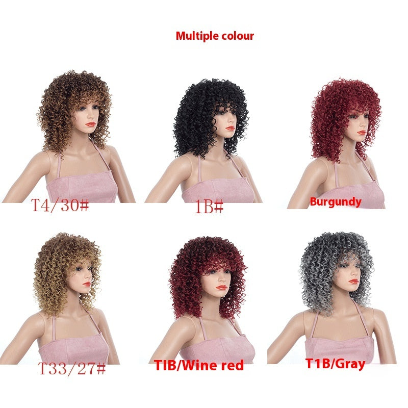 Curly Afro Costume Wig - image 2