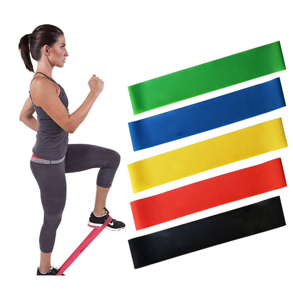 Resistance Loop Bands Set with Carry Bag - image 5