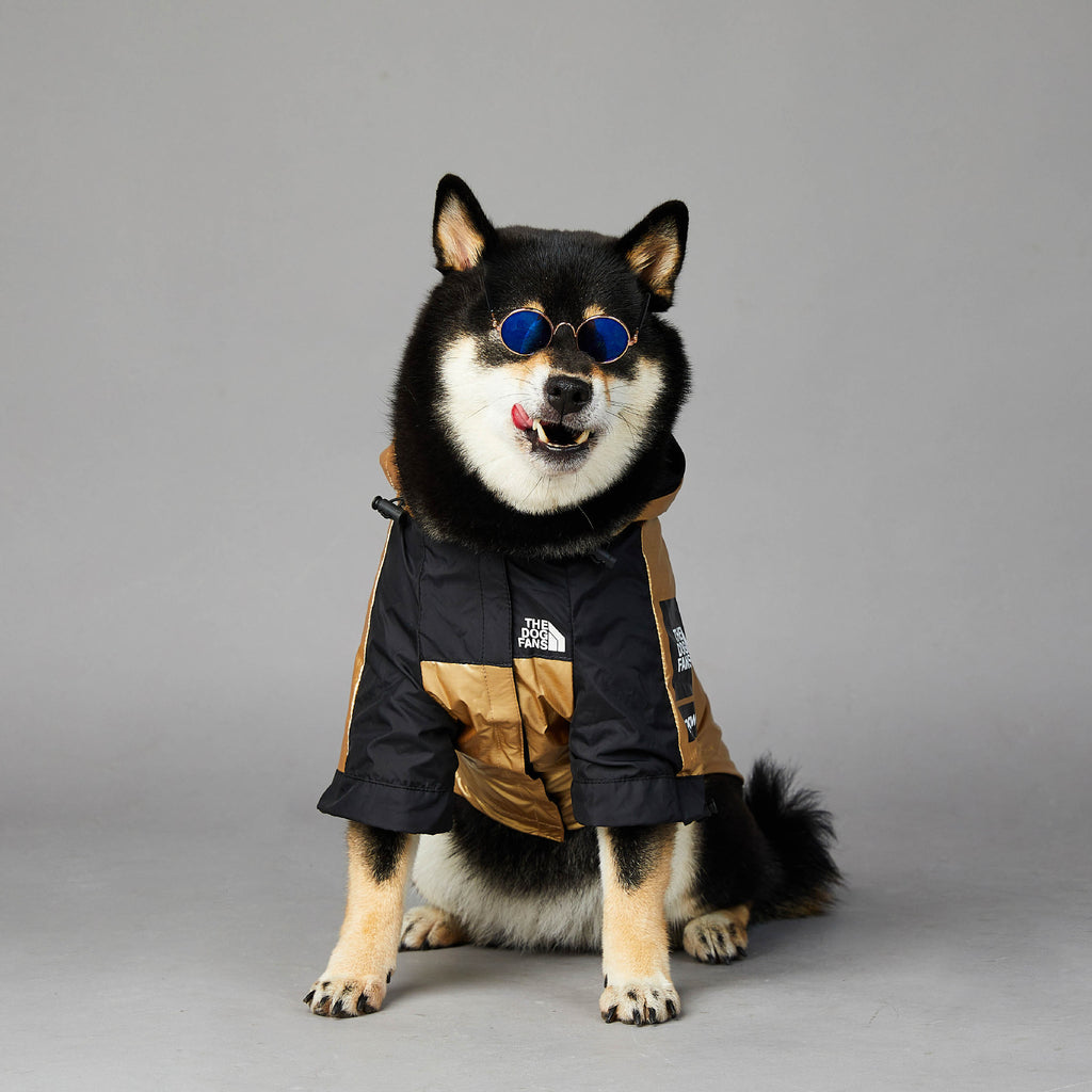 Waterproof Dog Raincoat - image 5