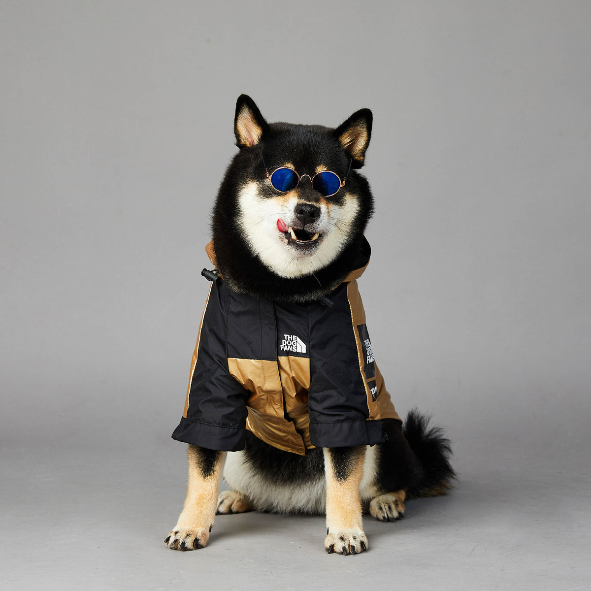 Waterproof Dog Raincoat - image 5