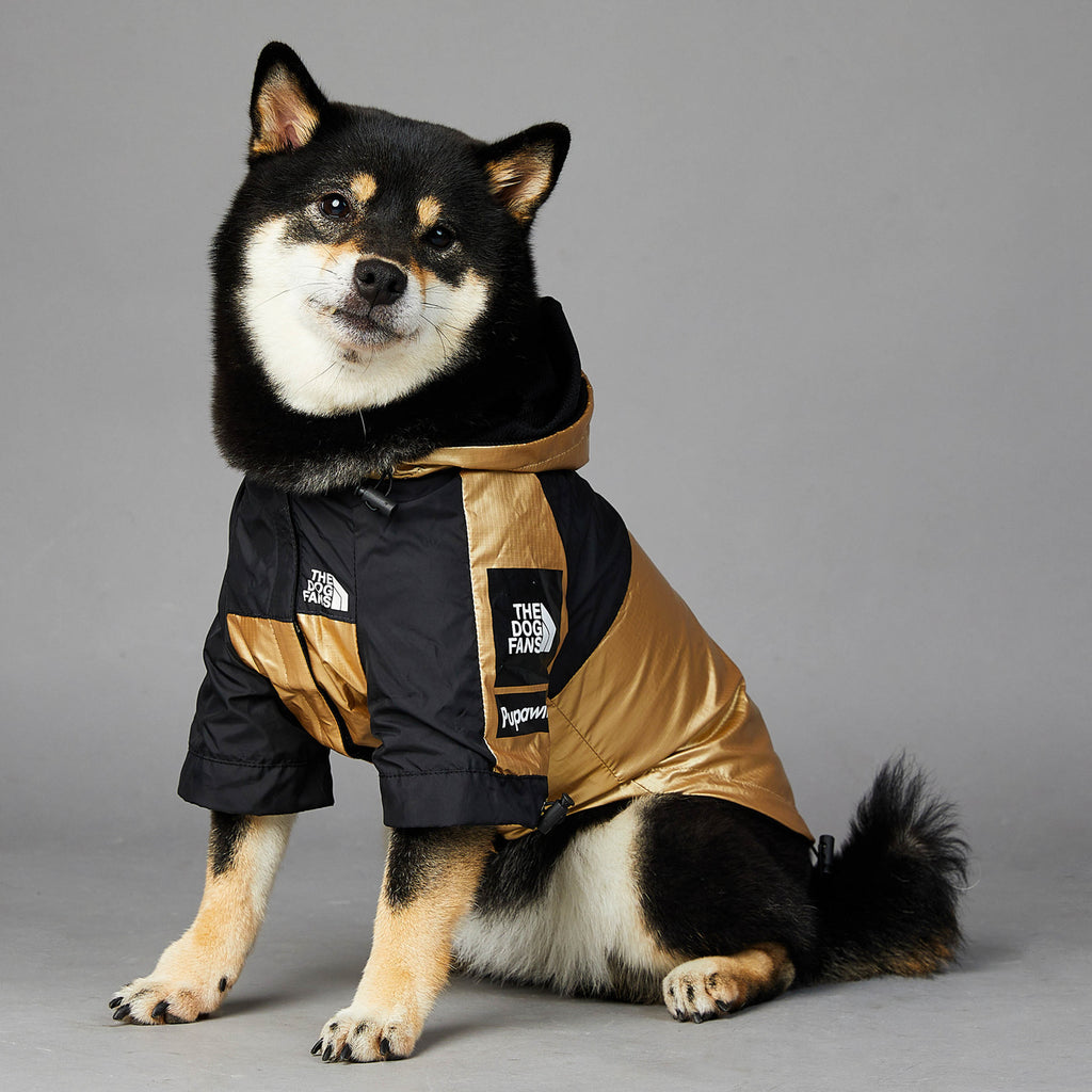 Waterproof Dog Raincoat - image 1